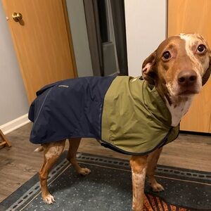Ruffwear Sun Shower Raincoat